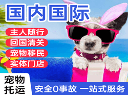 蓬莱航空托运国际宠物托运 【国